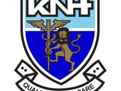 knh-1